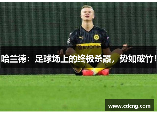 哈兰德:足球场上的终极杀器,势如破竹! 哈兰德:足球场上的终极杀器,势如破竹!